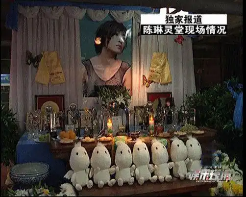 沈永革随后还专门接受专访,在节目上大谈特谈自己与陈琳的感情,反复在