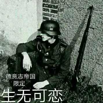 二战表情包【德系】2