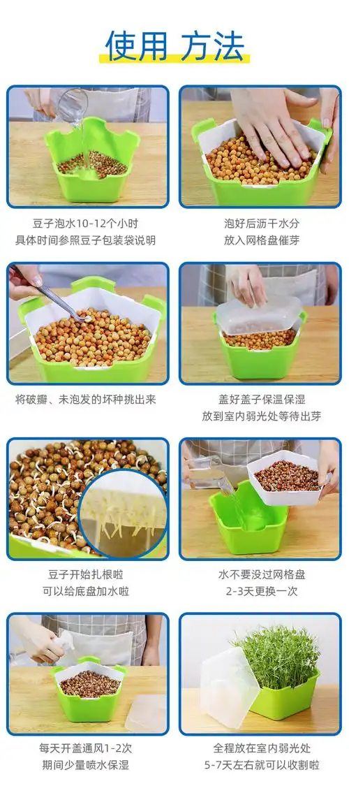 幼儿园植物小盆栽豆芽菜育苗盘豆芽发芽盆桶芽苗菜种植盘水培种菜