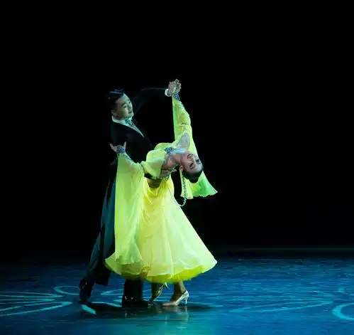 《国标摩登舞竞技组合》——北京戏曲学院舞蹈系