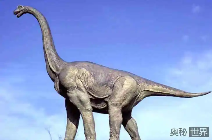 世界上十大最大的恐龙
