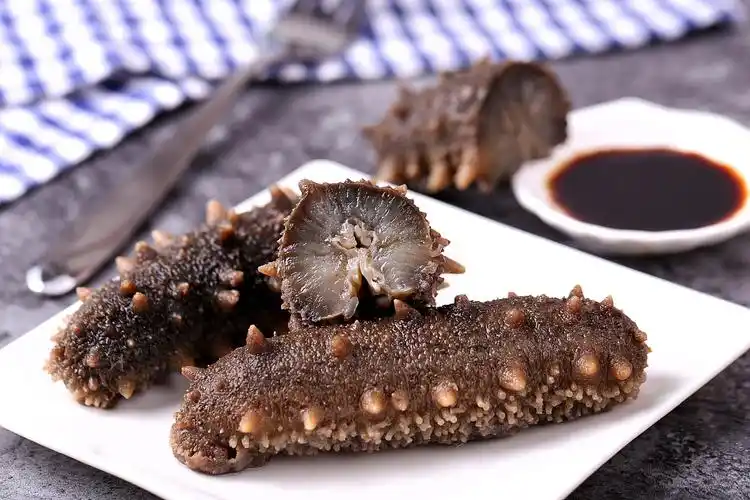 海参- 热门商品专区