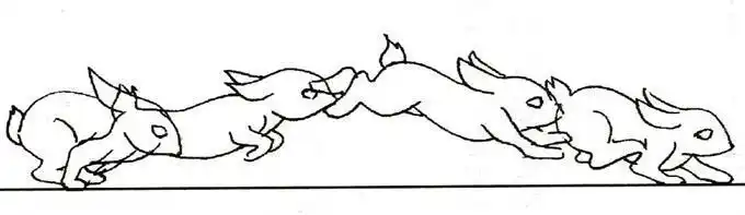 会走路的动物简笔画