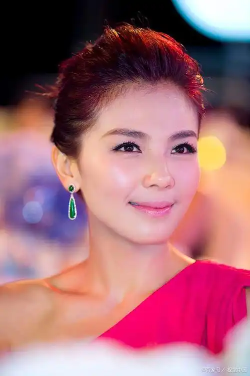 刘涛,一位具有亲和力的女演员