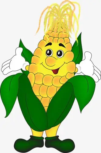 可爱的玉米