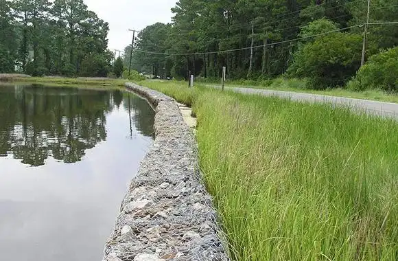 河道治理中,生态护岸结构问题如何处理?