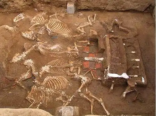 为何说秦始皇的陵墓是一个乱葬岗子因为里面埋了太多的死人