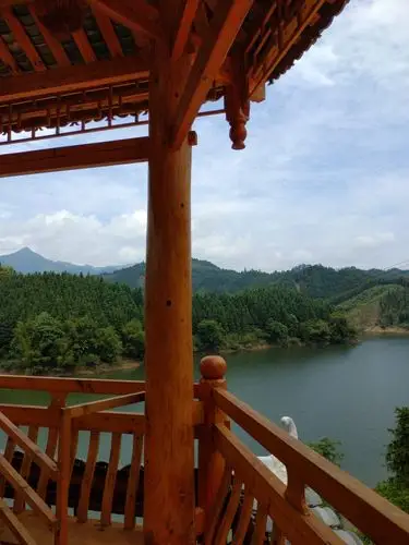 香杉林海融安梦——美丽的融安香杉生态产业示范区侧记