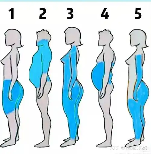 根据我的亲身经历五大类型肥胖的类型的减脂方法