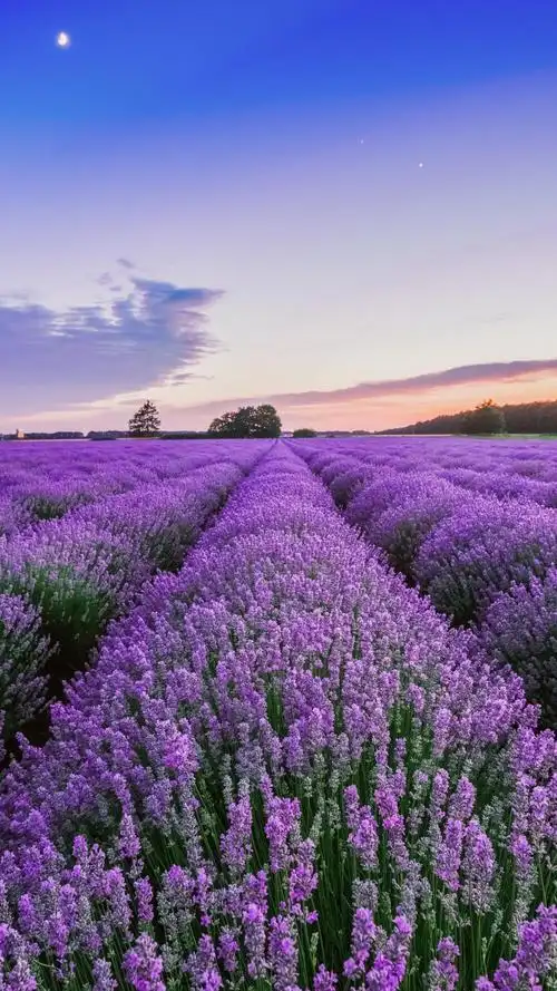 杂志锁屏 - 堆糖,美图壁纸兴趣社区