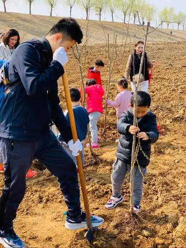 春暖花开 种植未来——东平心元儿童之家幼儿园casa2班植树节活动