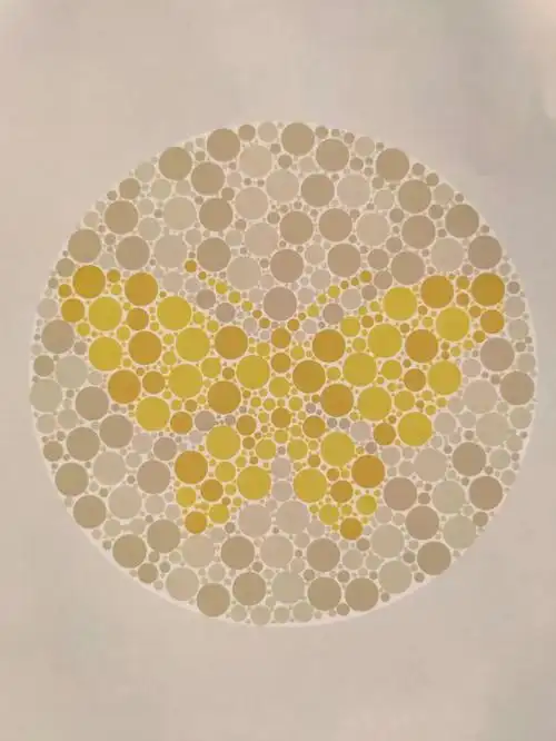 2020年最近驾考体检专用色盲检测图