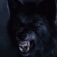 高清凶猛霸气的狼图片头像点击鼠标右键下载