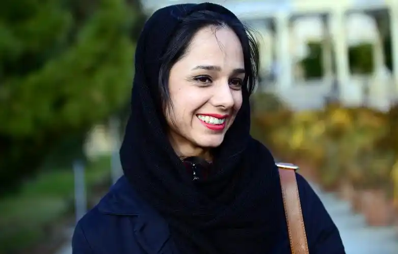 神秘波斯的笑容