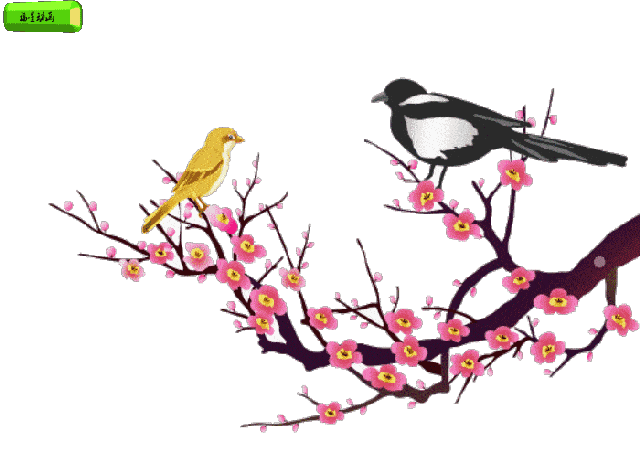 640_457gif 动态图 动图