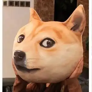 英雄联盟doge头像 英雄联盟doge高清头像