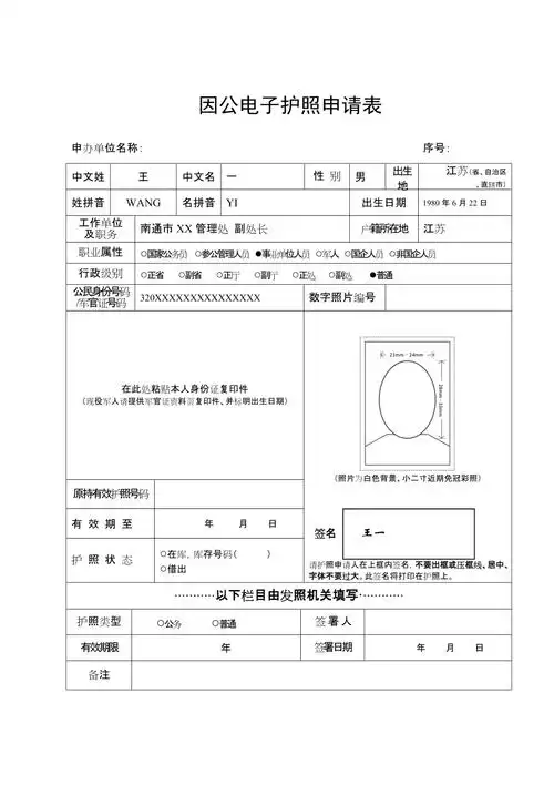 因公电子护照申请表