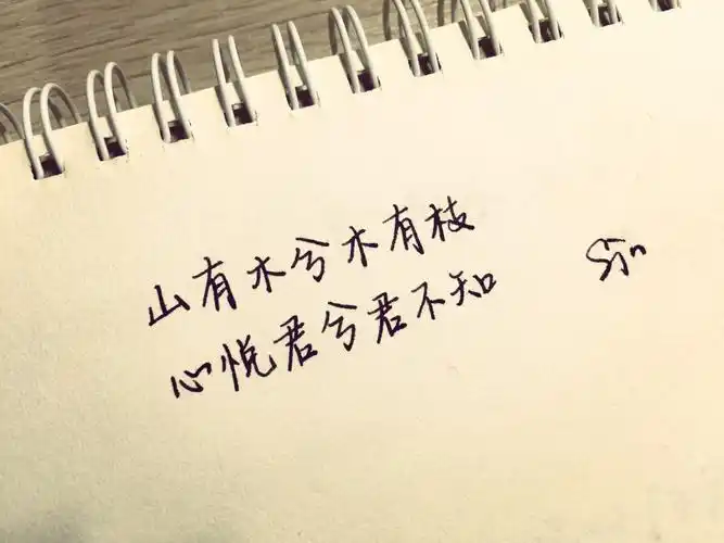 山有木枝木有兮