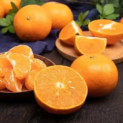 五个农民广西武鸣茂谷柑5斤新鲜大果脏脏柑橘石灰柑应季水果现摘现发