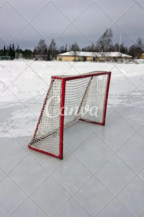 运动红色冬天蓝色户外雪冰球滑冰大门寒冷