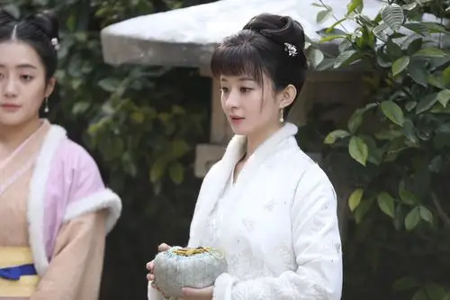 赵丽颖《知否》豆瓣8.1分 软萌聪慧百分百还原角色"美哭"观众