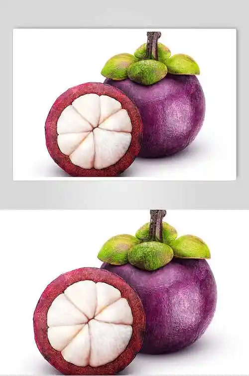 鲜美山竹图片-鲜美山竹素材下载-众图网