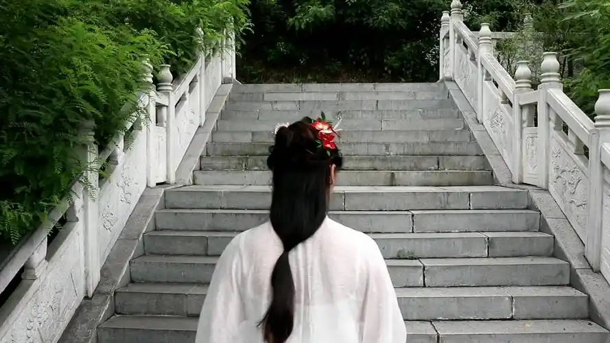 茶与汉服—小姐姐的背影唯美至极!