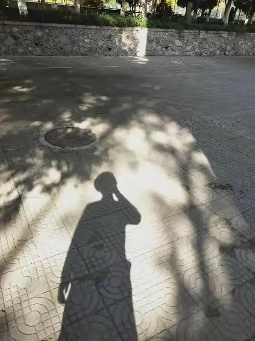 影子(人生辞典)