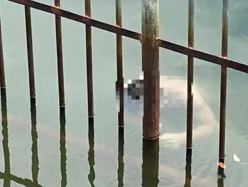 悲剧坎山水库又出事了一男子溺水而亡愿悲剧不再重演