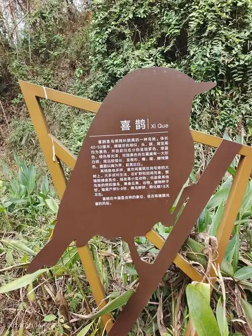 乐山绿心公园芦山湿地一一"芦山精灵"朱鹮和猴馆(均闭馆)及芦池兰亭和