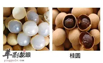 桂圆和龙眼的区别
