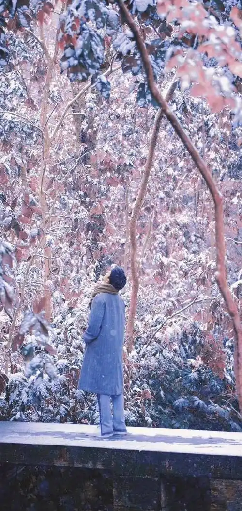 肖战在竹林深处进行时装拍摄,少年如风般自在,眼里星辰大海_头发_青春