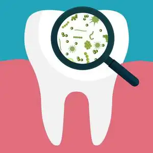 在放大镜上查看人类白牙齿上的细菌照片