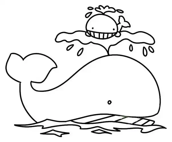 鲸鱼简笔画儿童学画鲸鱼简笔画教程步骤图片大全