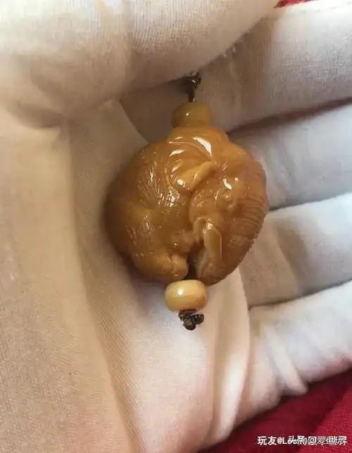 象牙果是什么东西 象牙果盘玩后效果图-诚智百科网