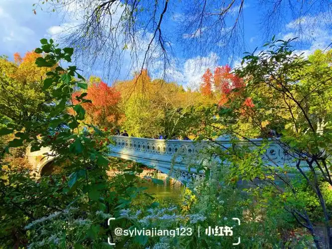 纽约中央公园的斑斓秋天