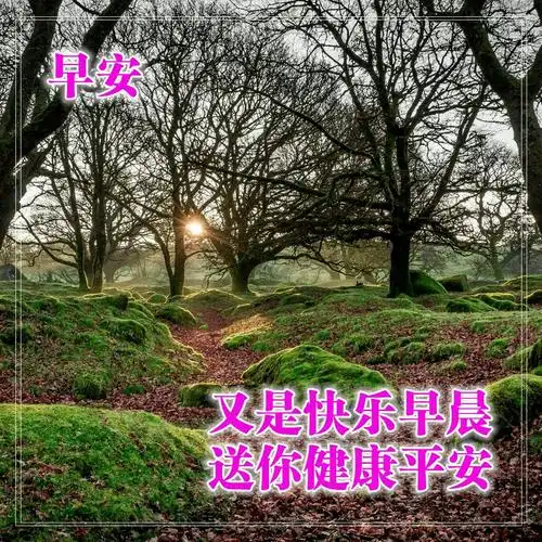 大家好新的一天俯身去做事用心去做人最美早上好图片问候语