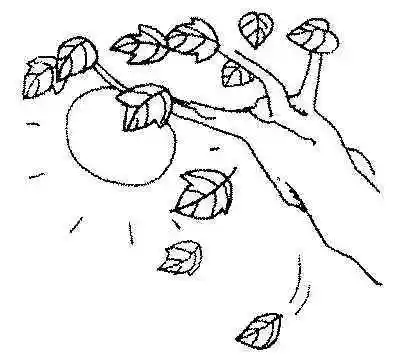 9.晒太阳(《字宝宝乐园系列丛书》——让诗带你飞)