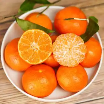 广西砂糖橘新鲜橘子应季无核无籽蜜橘薄皮小橘子砂糖橘5斤