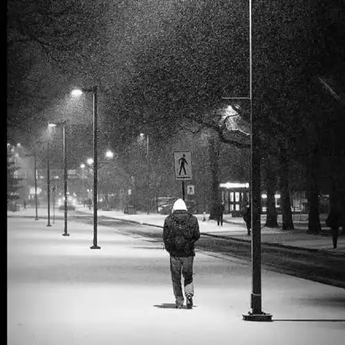 七言诗一个人走