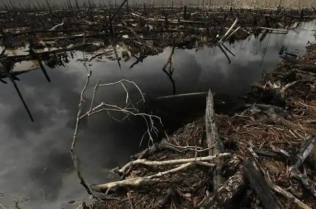 震撼组图--愤怒的地球