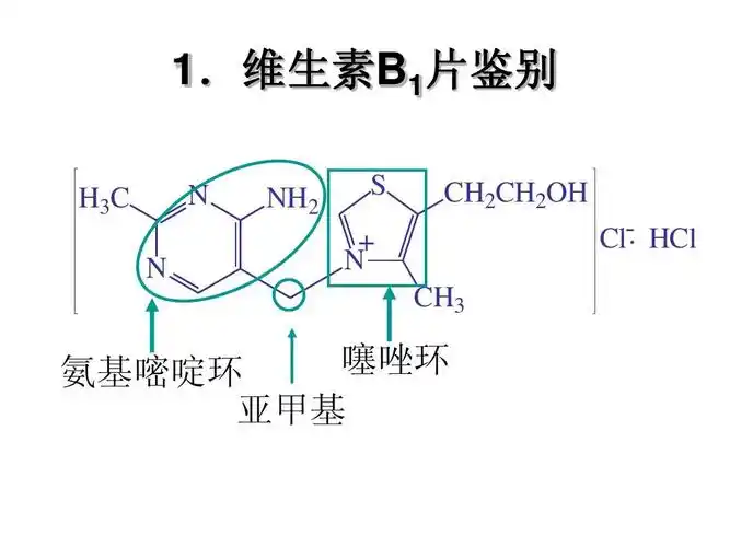 噻唑环 氨基嘧啶环 亚甲基