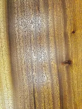 木材纹理,花纹背景