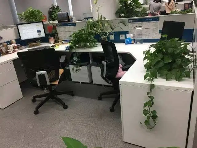 在知识产权出版社实习的工作环境