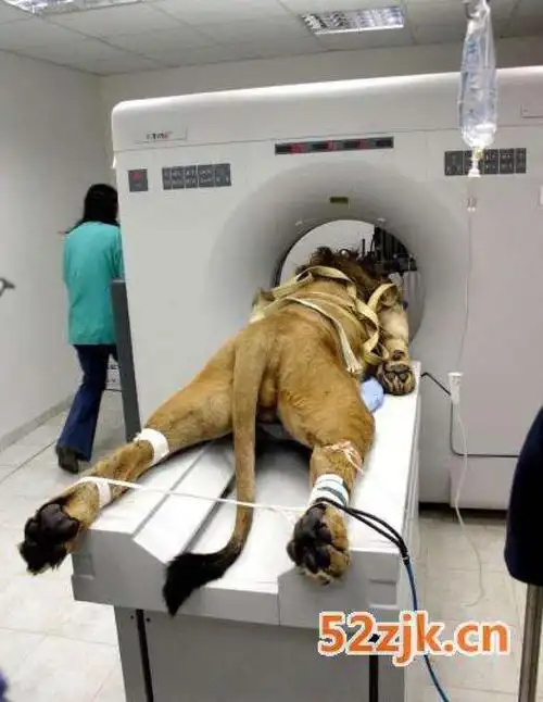 这种机器什么价格