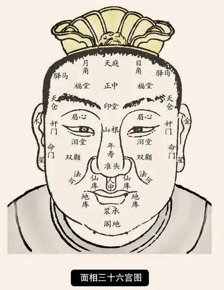 学习面相三十六宫图