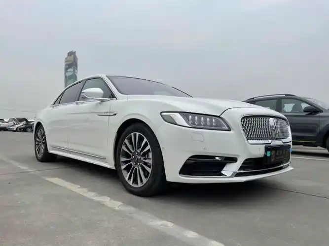 林肯 大陆  2020款 2.0t 两驱mono限量尊耀版 mono white图片