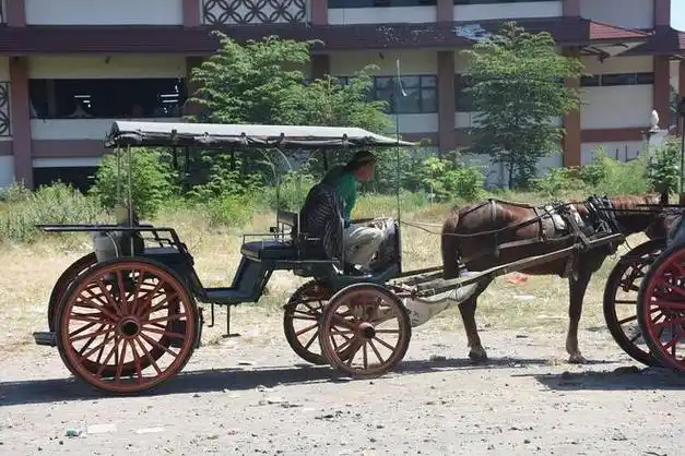 从贵族座驾到普通人的工具历经千年古代马车是怎样变身的
