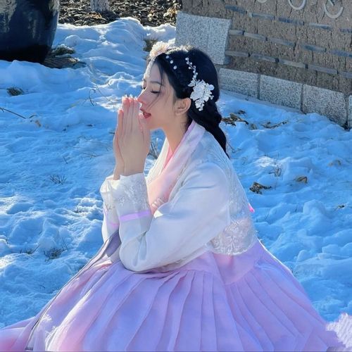 韩服延边朝鲜族宫廷古装古风礼服古代传统韩服朝鲜古典舞演出服女