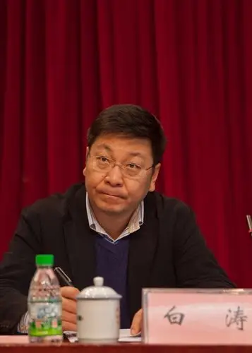 市委常委,组织部长白涛